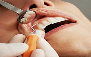 Teeth being examined